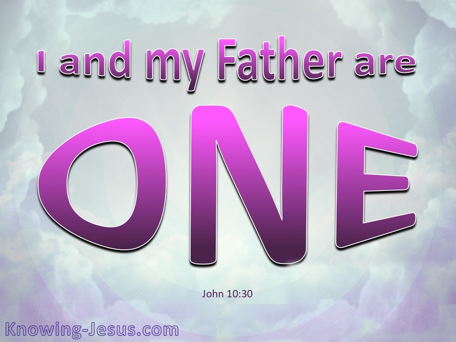 John 10:30 I And The Father Are One (pink)